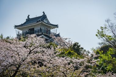 Choose Your Own Adventure in Hamamatsu City