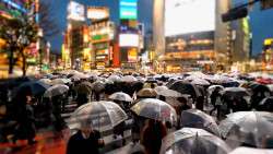 Rainy Day Activities in Tokyo